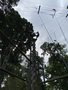 IMG_3509.JPEG