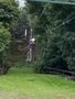 IMG_3512.JPEG