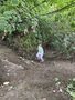 IMG_3526.JPEG