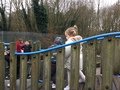 IMG_1826.JPG