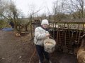 DSCN0133.JPG