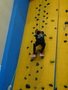 DSC09258.JPG