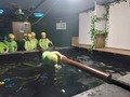 20230221_093430.jpg