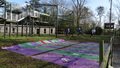 DSC00181.JPG
