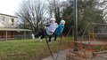 DSC00203.JPG