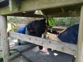 DSC09055.JPG