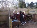 DSC09163.JPG