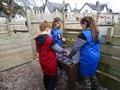 DSC09165.JPG