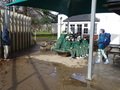 DSC09468.JPG