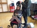 IMG_2741.jpeg
