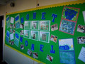 wbd and displays 120.jpg