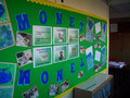 wbd and displays 121.jpg