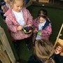 IMG_5485.JPG