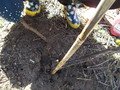 DSCN1089.JPG
