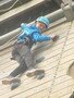 IMG_7536.JPG