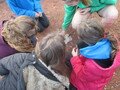 IMG_7574.JPG