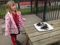 IMG_2376.JPG