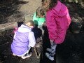 IMG_7670.JPG