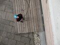 IMG_7814.JPG
