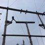 IMG_0192.JPG