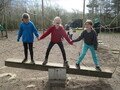 IMG_7830.JPG