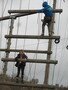 IMG_7852.JPG