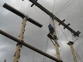 IMG_7908.JPG