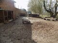 DSCN0393.JPG