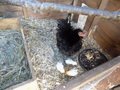 DSCN0469.JPG