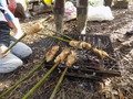 DSCN0501.JPG