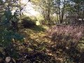 IMG_3859.JPG