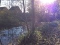 IMG_3867.JPG