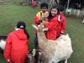 2201A992-205E-4B7D-B666-1D1EEFF3C221.jpeg
