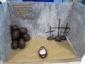 IMG_8030.JPG