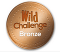 Wild Challenge Bronze award.PNG