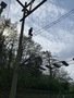 IMG_0012.jpeg