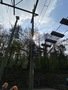 IMG_0110.jpeg