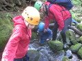 IMG_3591.JPG