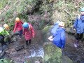 IMG_3595.JPG