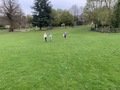 IMG_0084.jpeg