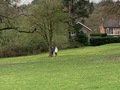 IMG_0089.jpeg