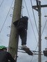 IMG_3636.JPG