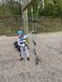 IMG_4456.jpeg