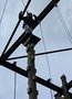 IMG_4494.jpeg