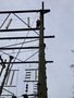 IMG_5324.jpeg