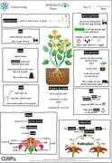 science KO plantsY3.JPG