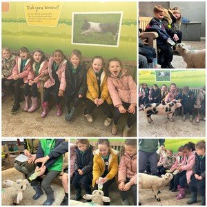 We thought the pigs were really funny and a little naughty!