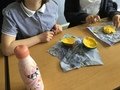 science fruit dissection (1).JPG
