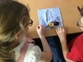 science fruit dissection (3).JPG