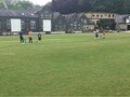 U11 Kwik cricket tournament
